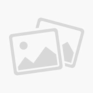 Template website แนะนำ